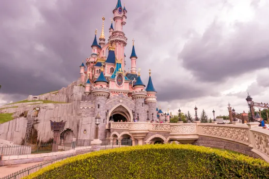 transport chauffeur taxi vers parc attraction essonne